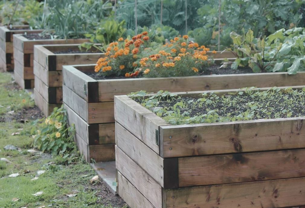 création jardin pour légumes et autonomie